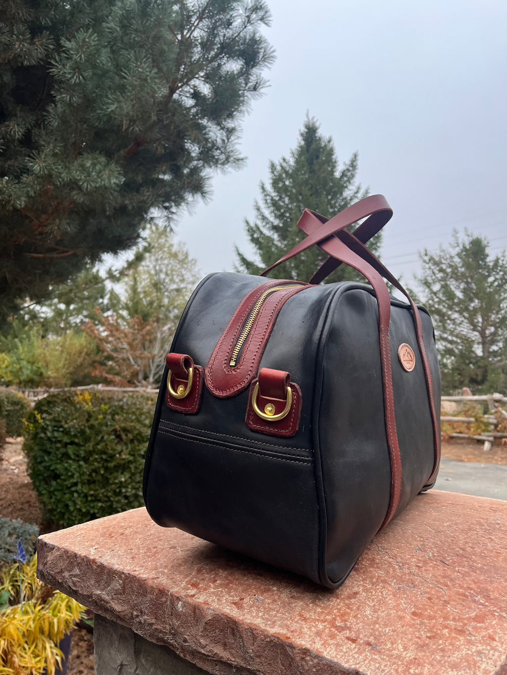 Carry on bag