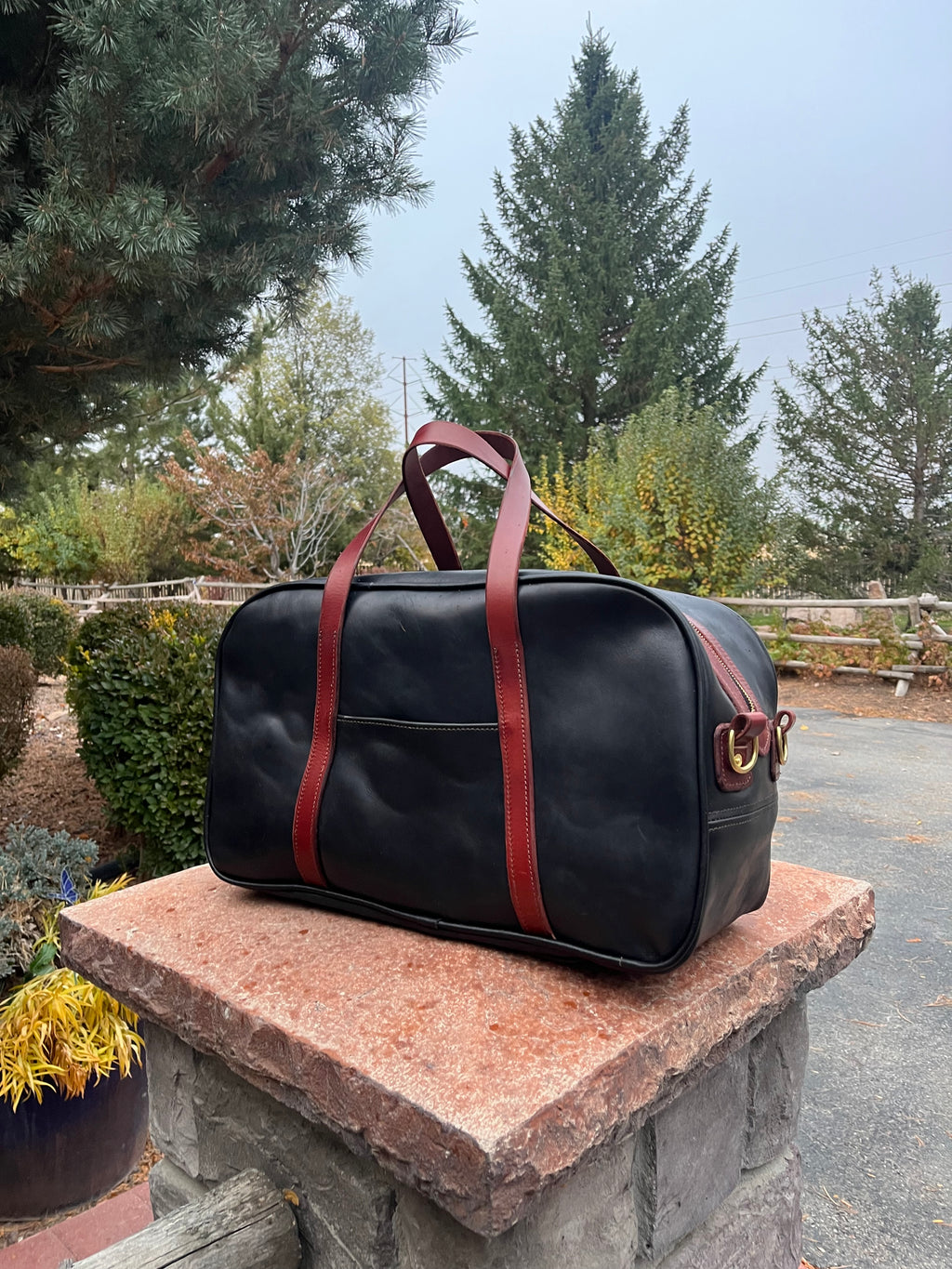 Carry on bag