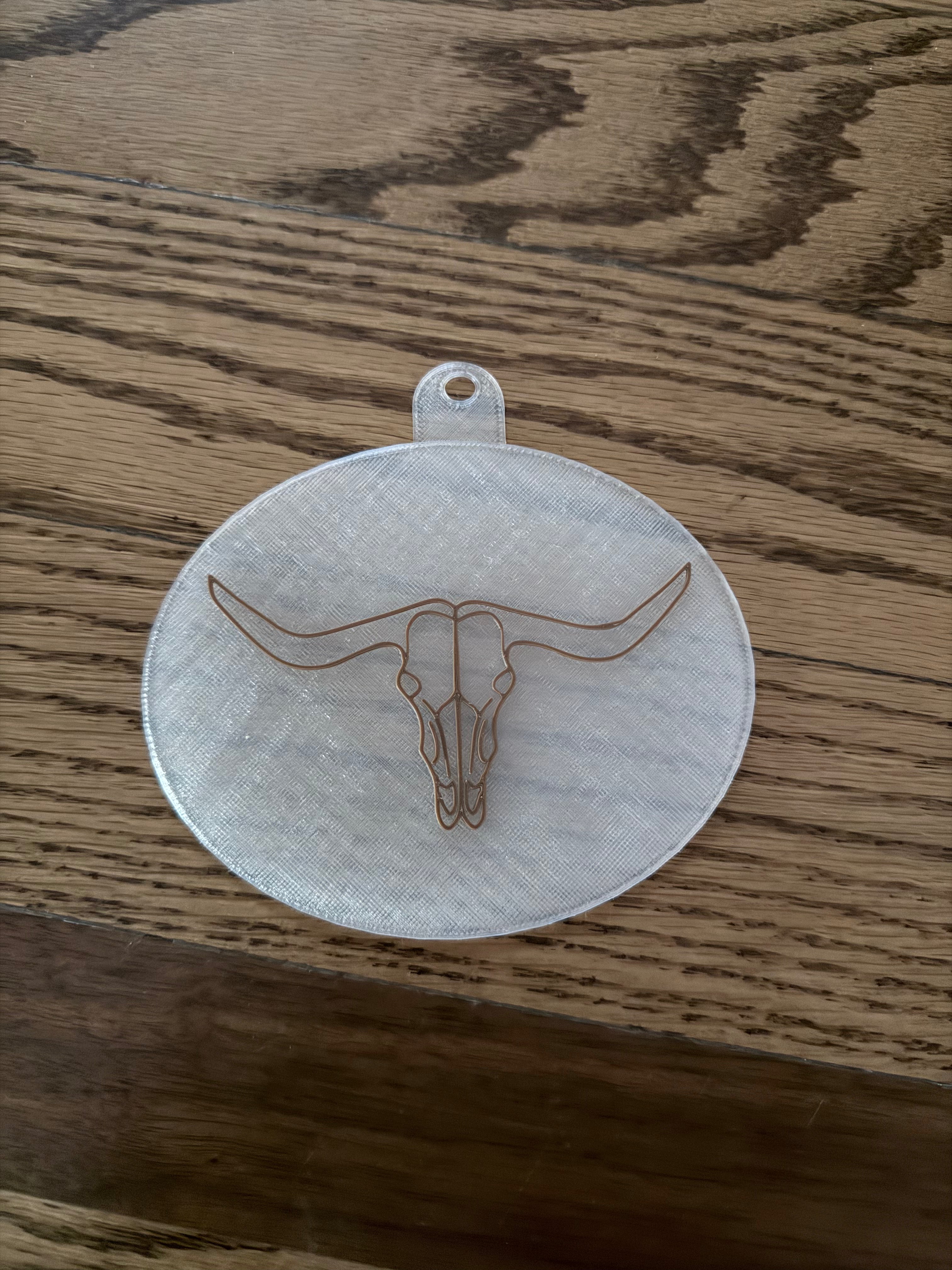 Tapoff longhorn skull